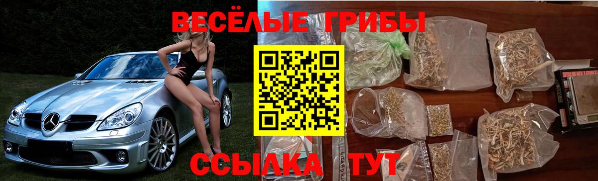 Галлюциногенные грибы прущие грибы  Вход с VPN  Искитим  Псилоцибиновые грибы Cubensis 